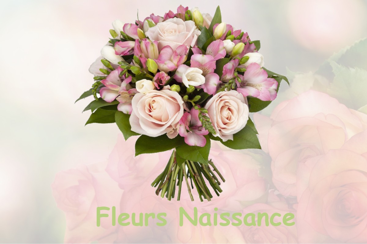 fleurs naissance FONTCOUVERTE-LA-TOUSSUIRE